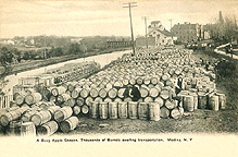 Barrels of apples waiting to be loaded onto a canal boat