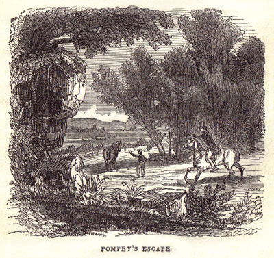 Pompey's Escape
