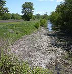 Clinton's Ditch at Fort Hunter, N.Y., 2007